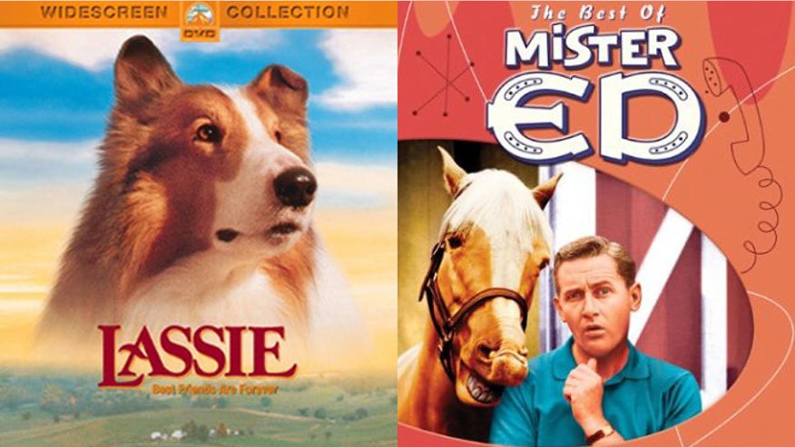 lassie mr ed 660 dvds.jpg